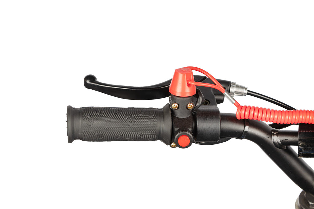 Dirt Bike enfants Nitro 49cc Coelo Pullstart DLX 10 Vert